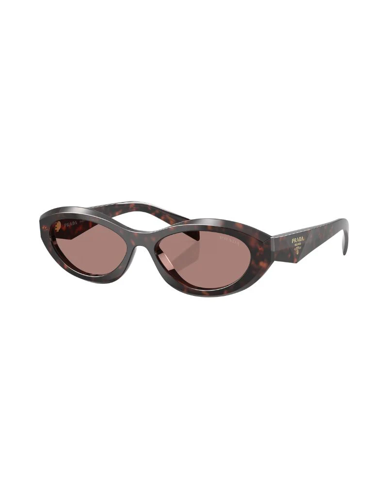 0pr 26zs 17n60b 55 Root Tortoise Light Brown