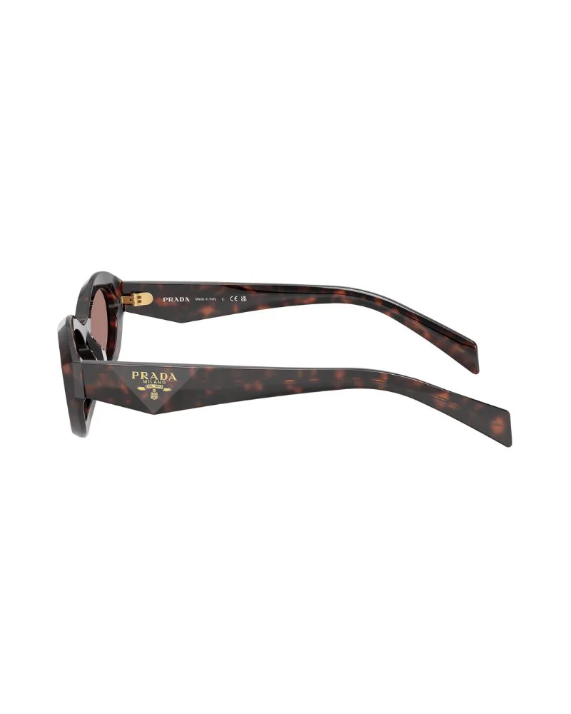0pr 26zs 17n60b 55 Root Tortoise Light Brown - Image 3