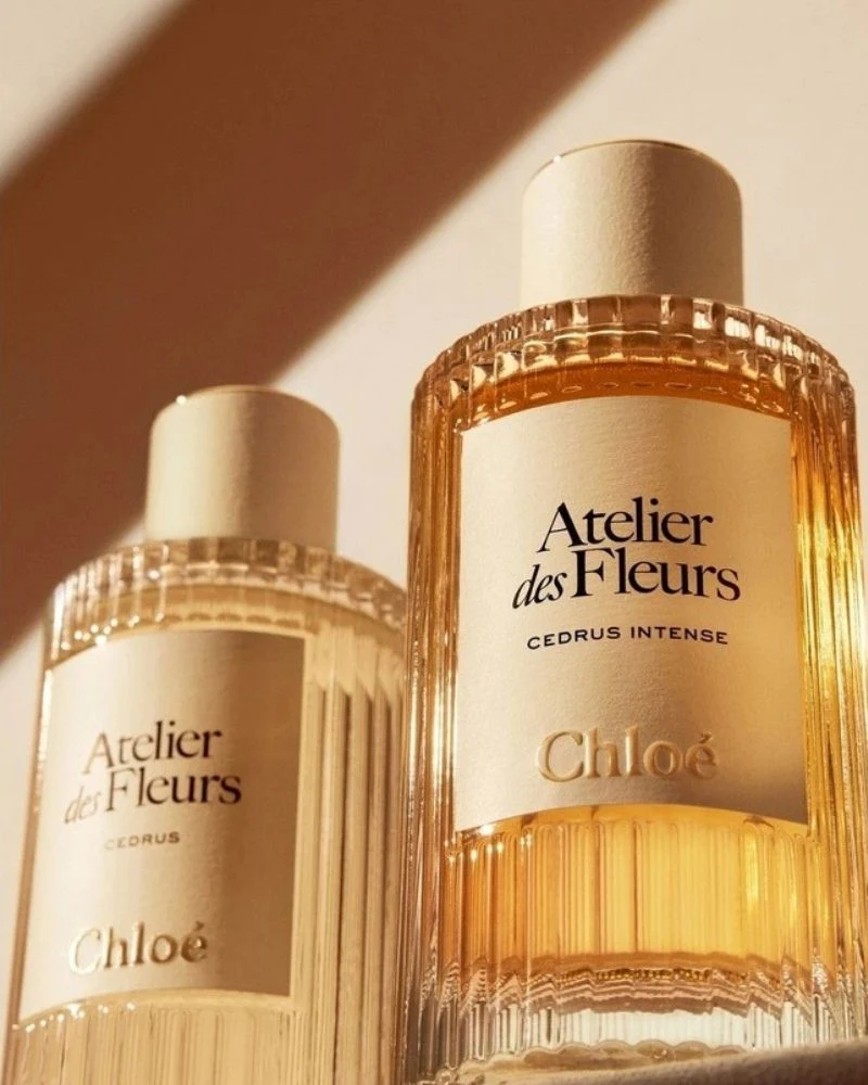 Chloe Atelier Des Fleurs - EDP - 50ml - Cedrus Intense - Image 3