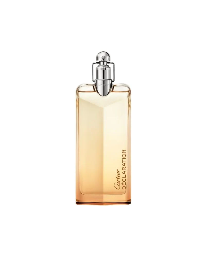 Declaration EDP 100ml