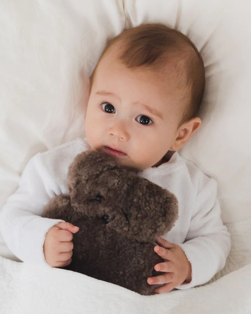 Flatoutbear Baby Chocolate - Image 3