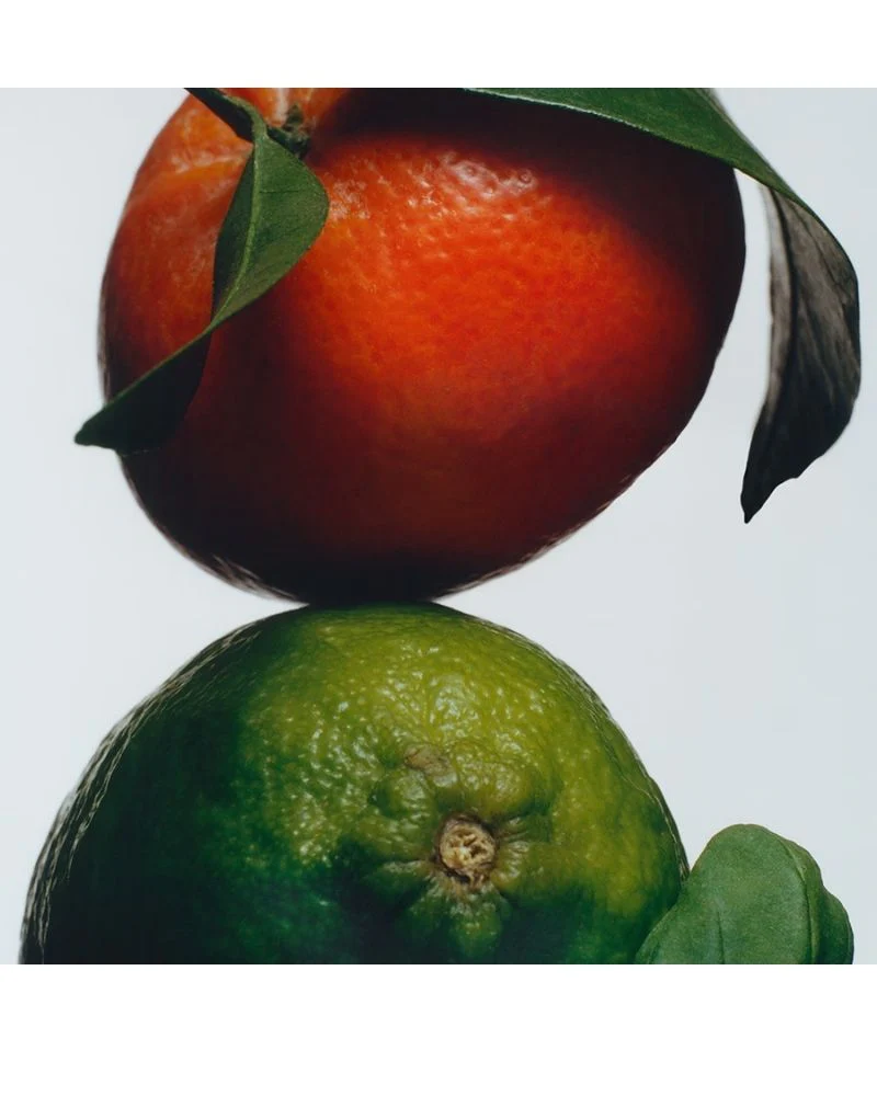 Lime + Basil+ Manderine Diffuser - Image 2