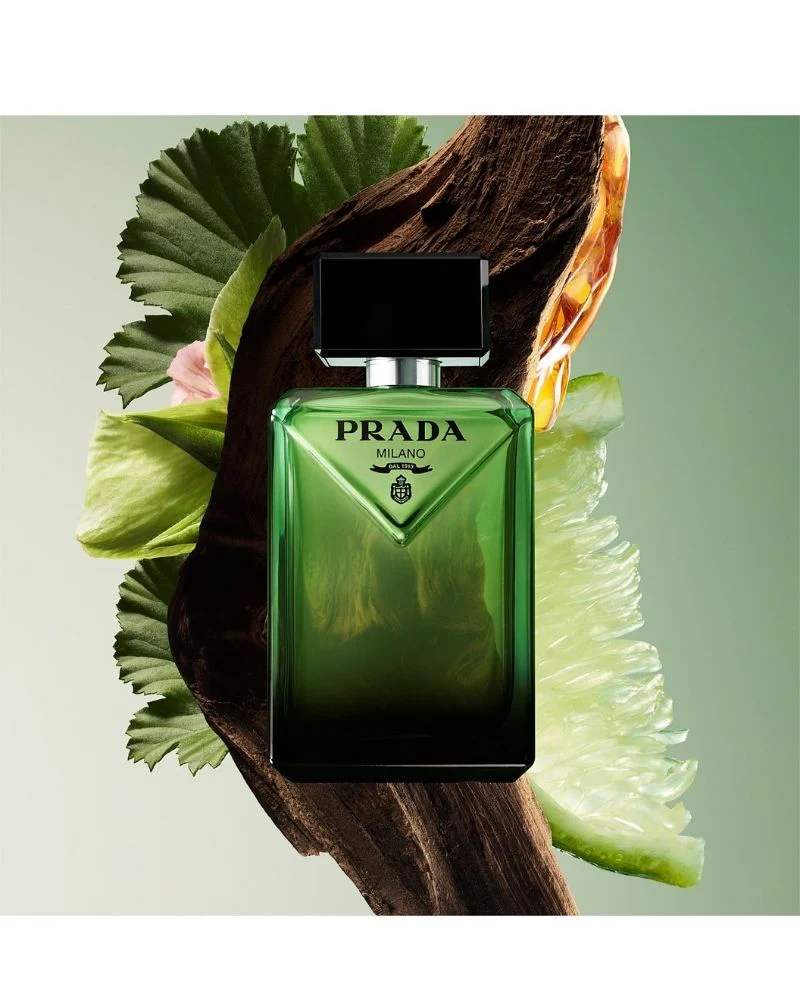 Paradigme Eau de Parfum 50ml - Image 3