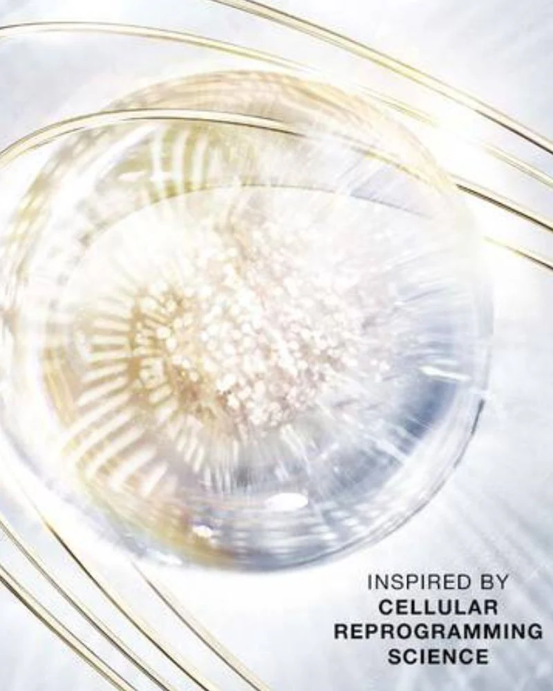 Prodigy Cellglow The Deep Renewing Concentrate 30ml - Image 3