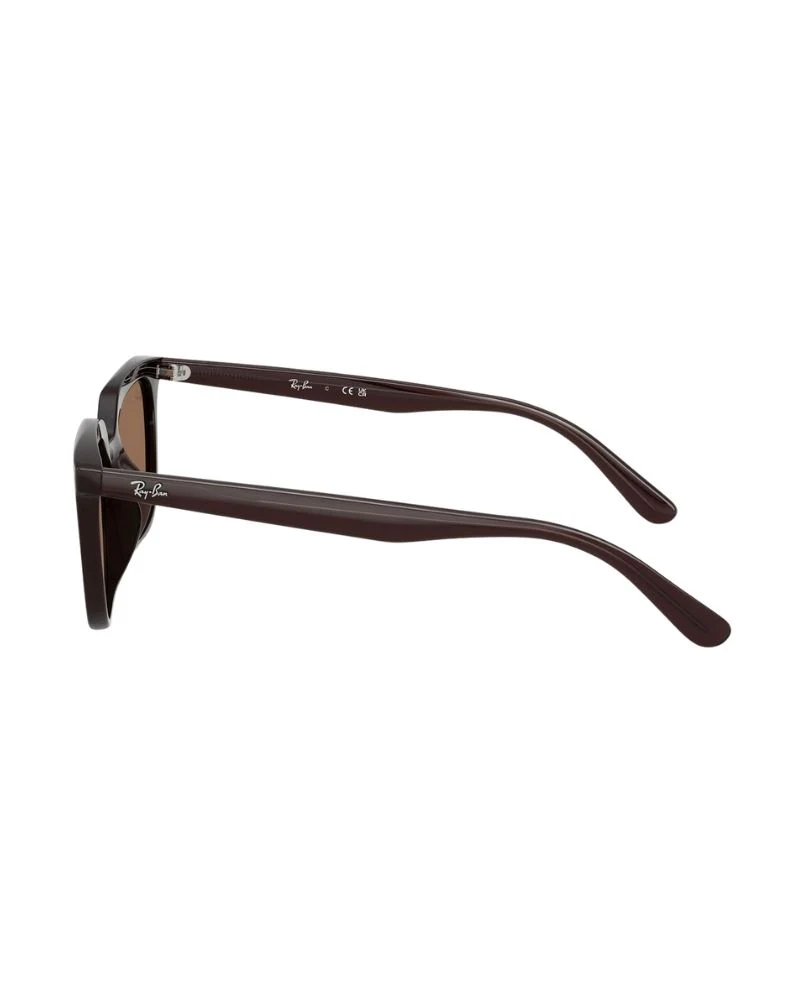 Ray-ban 0rb4439d 623173 54 Opal Brown Dark Brown - Image 3