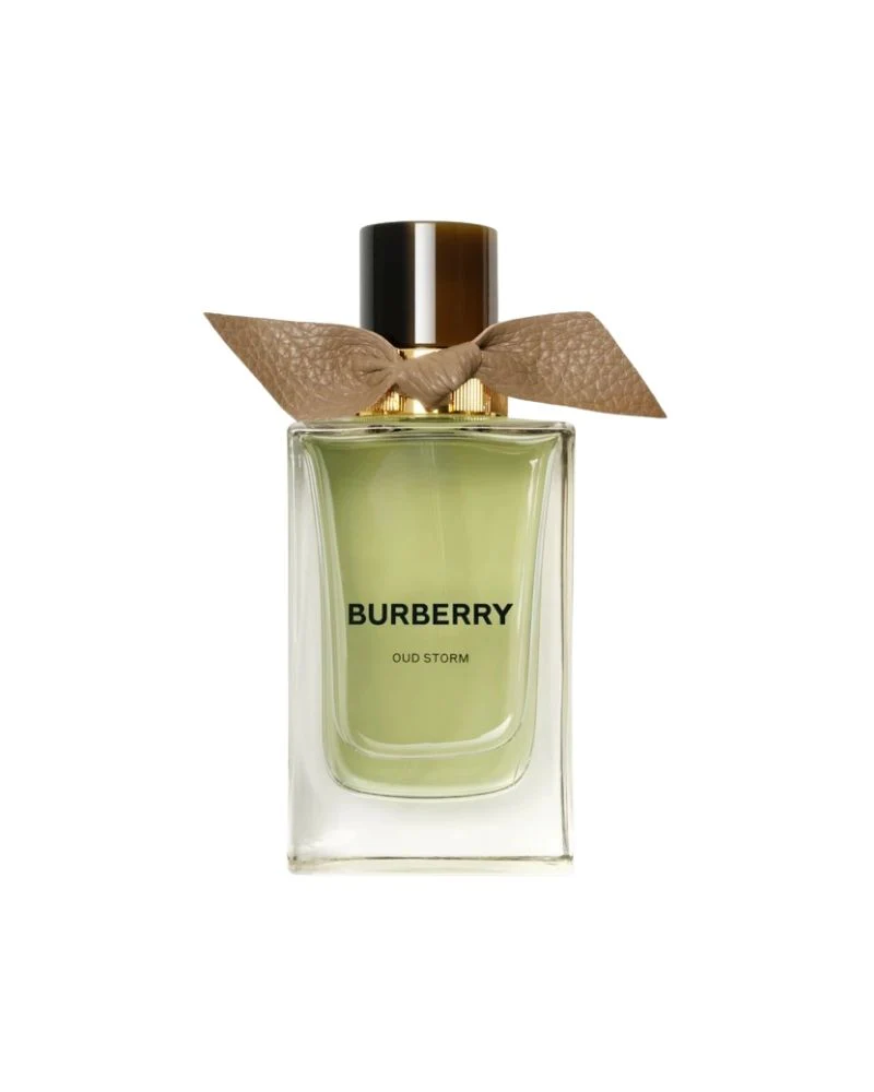 Signatures - Extreme Botanicals - Oud Storm - EDP - 100ml
