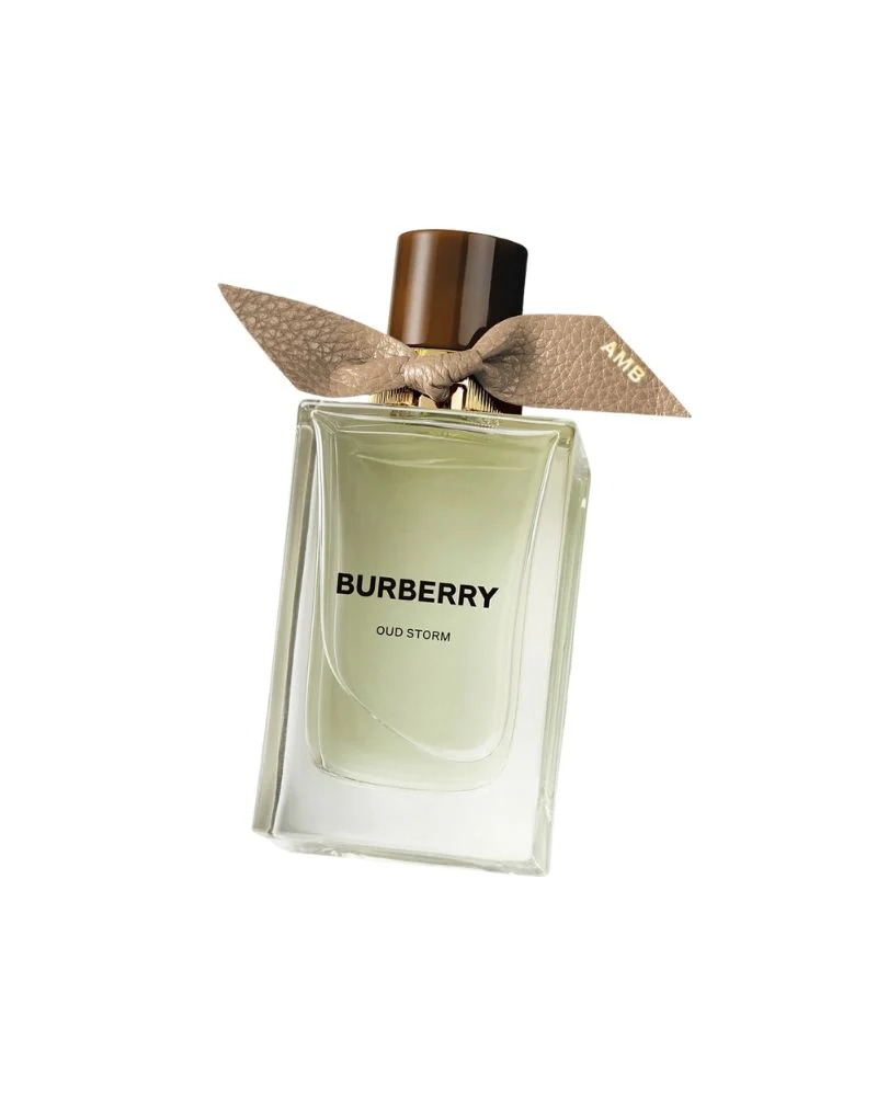 Signatures - Extreme Botanicals - Oud Storm - EDP - 100ml - Image 2
