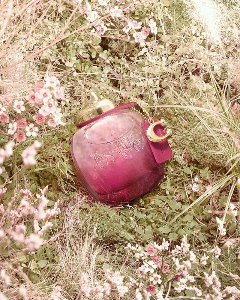 Wild Rose EDP 90 Ml - Image 3